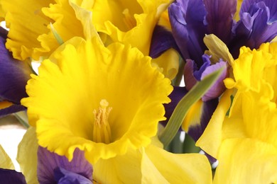 Photo of Bouquet of beautiful daffodils and irises on white background, closeup