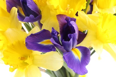 Photo of Bouquet of beautiful daffodils and irises on white background, closeup