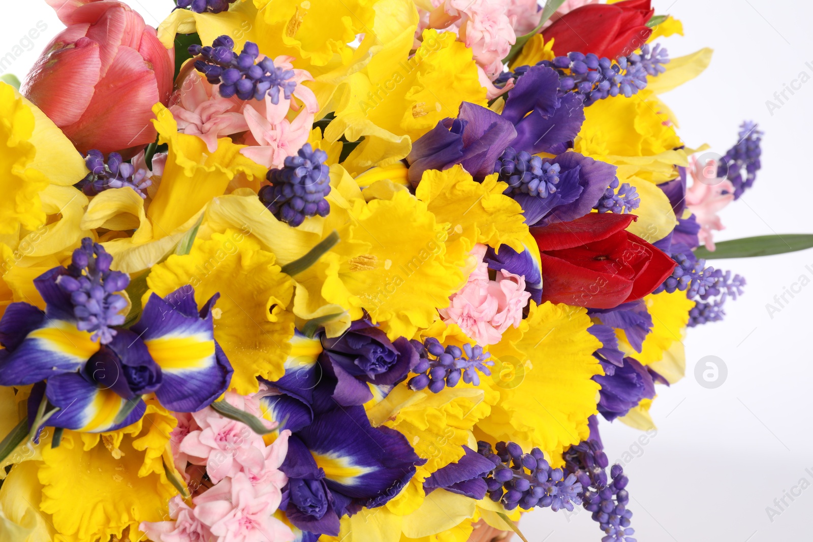 Beautiful colorful flowers on white background, closeup Photo of Beautiful colorful flowers on white background, closeup