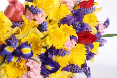 Photo of Beautiful colorful flowers on white background, closeup