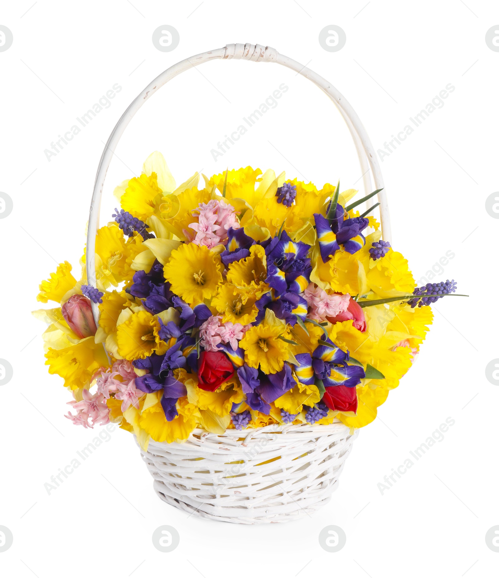 Beautiful colorful flowers in basket isolated on white Photo of Beautiful colorful flowers in basket isolated on white