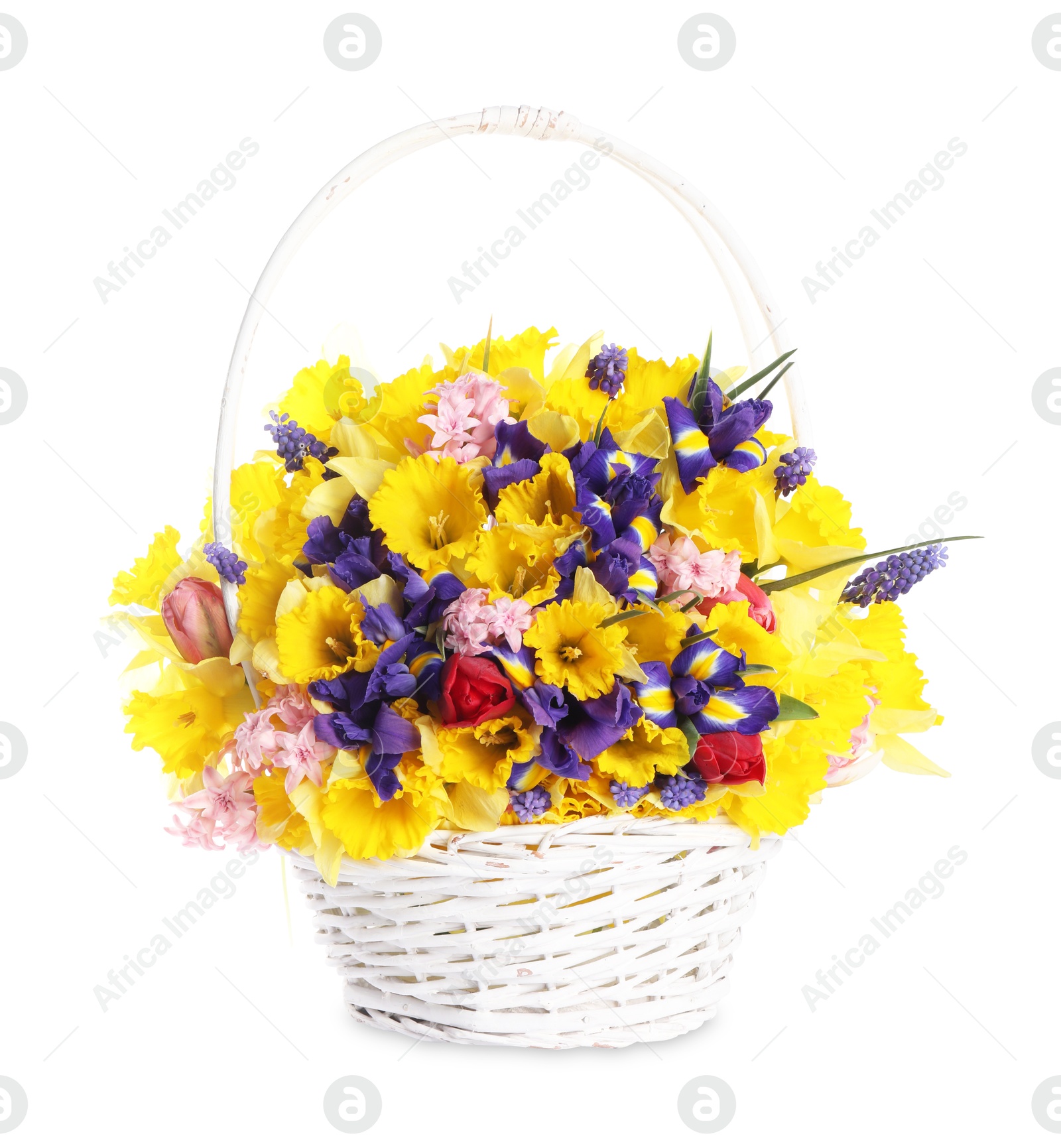 Beautiful colorful flowers in basket isolated on white Photo of Beautiful colorful flowers in basket isolated on white