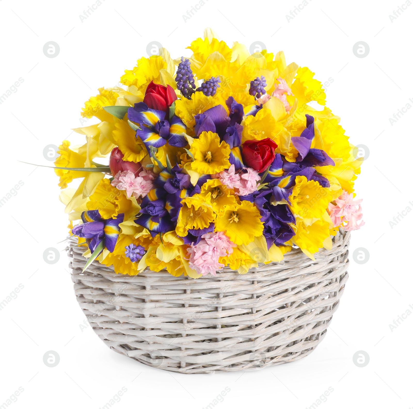 Beautiful colorful flowers in basket isolated on white Photo of Beautiful colorful flowers in basket isolated on white