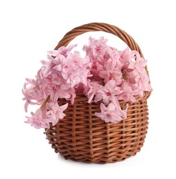 Photo of Beautiful hyacinth flowers in basket isolated on white
