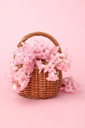 Photo of Beautiful hyacinth flowers in basket on pink background