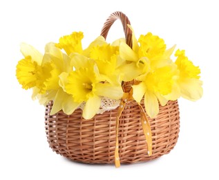 Photo of Beautiful daffodils in basket isolated on white