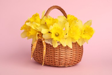 Photo of Beautiful daffodils in basket on light pink background