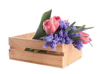 Photo of Beautiful colorful flowers in crate isolated on white