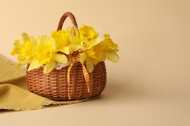 Photo of Beautiful daffodils in basket on beige background. Space for text