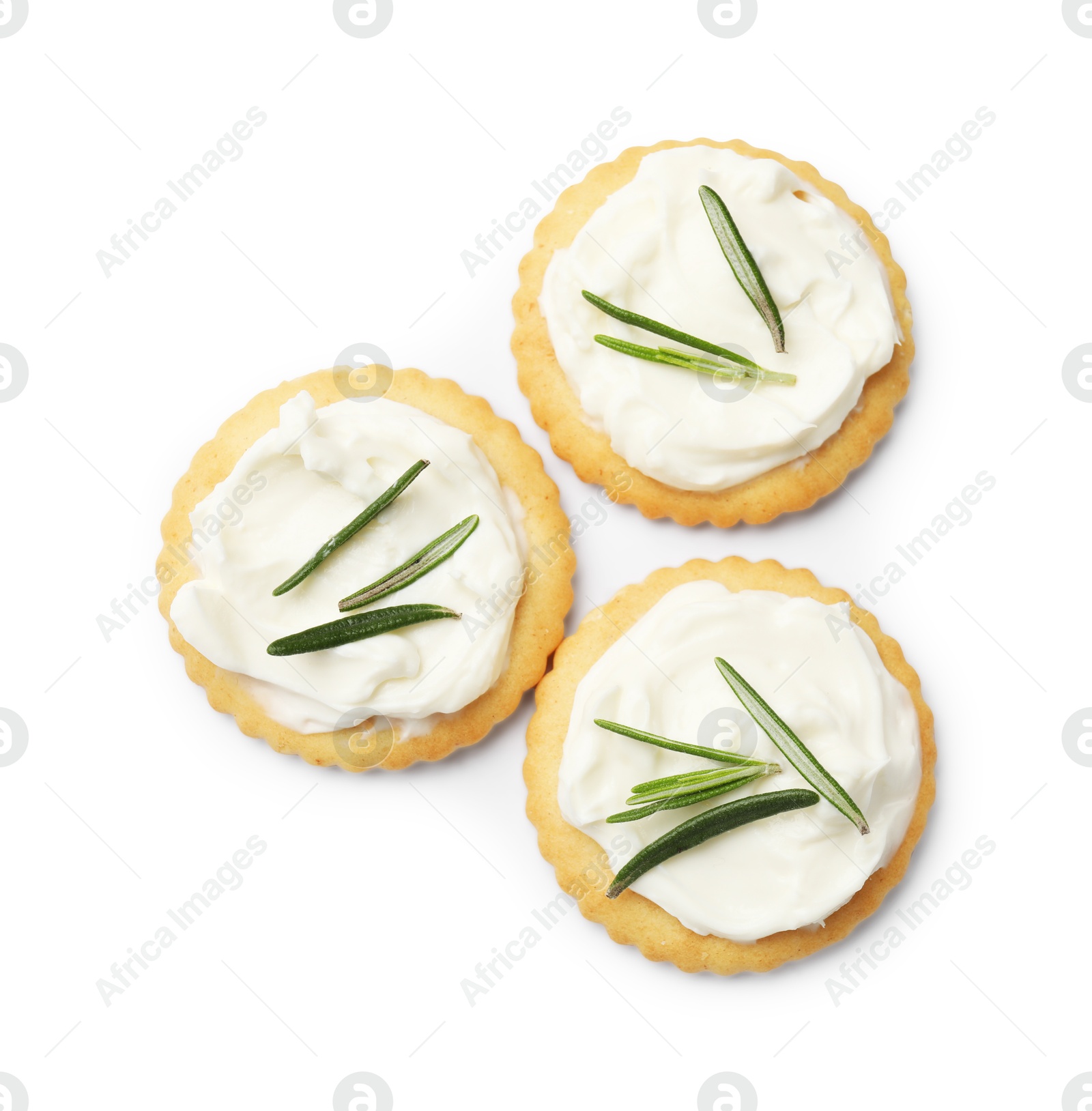 Photo of Tasty crackers with cream cheese and rosemary isolated on white, top view