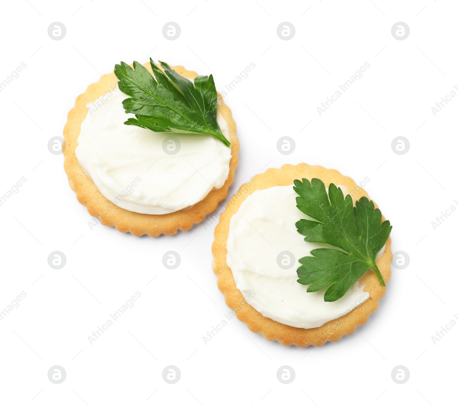 Photo of Tasty crackers with cream cheese and parsley isolated on white, top view