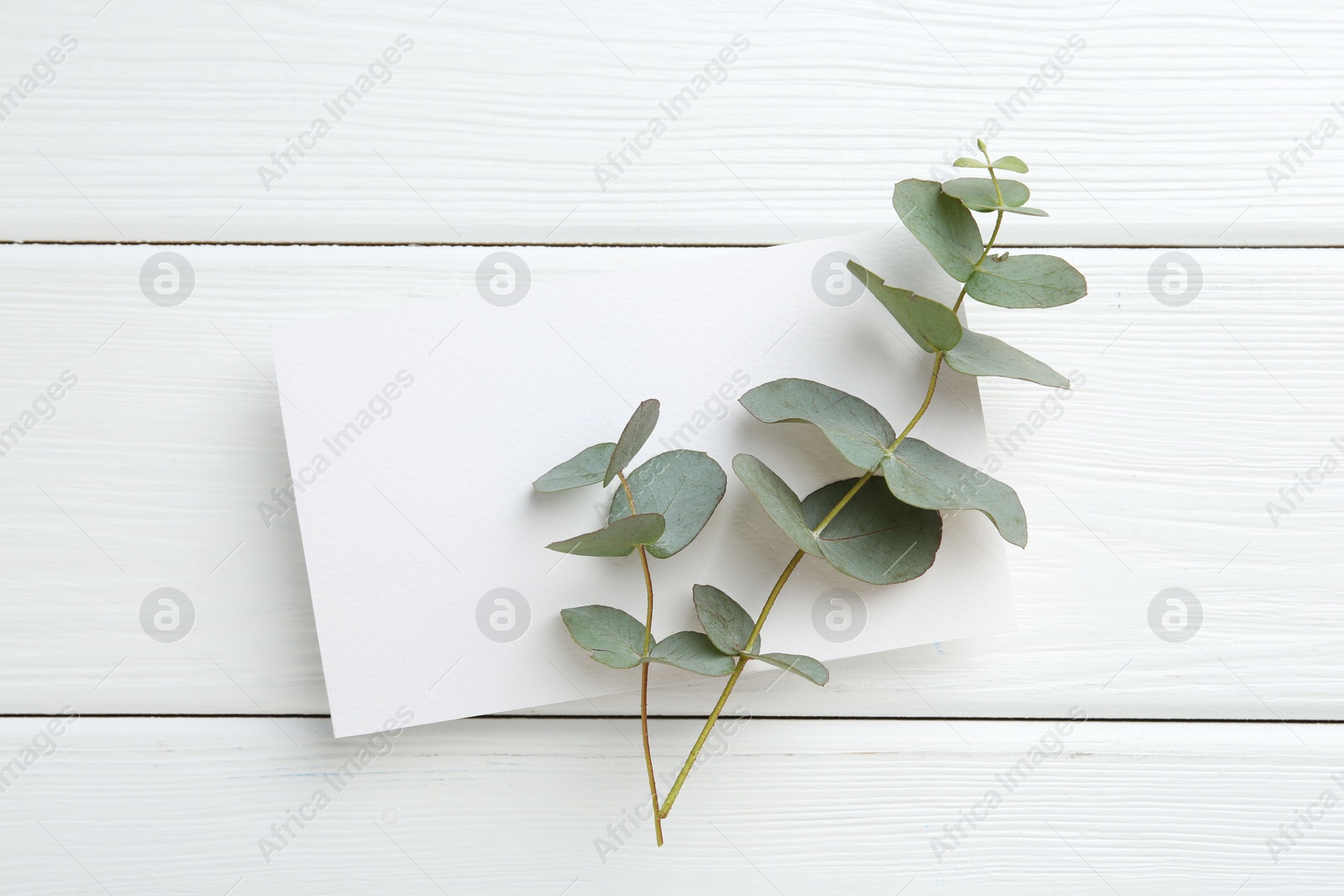 Blank card and eucalyptus branches on white wooden table, top view Photo of Blank card and eucalyptus branches on white wooden table, top view