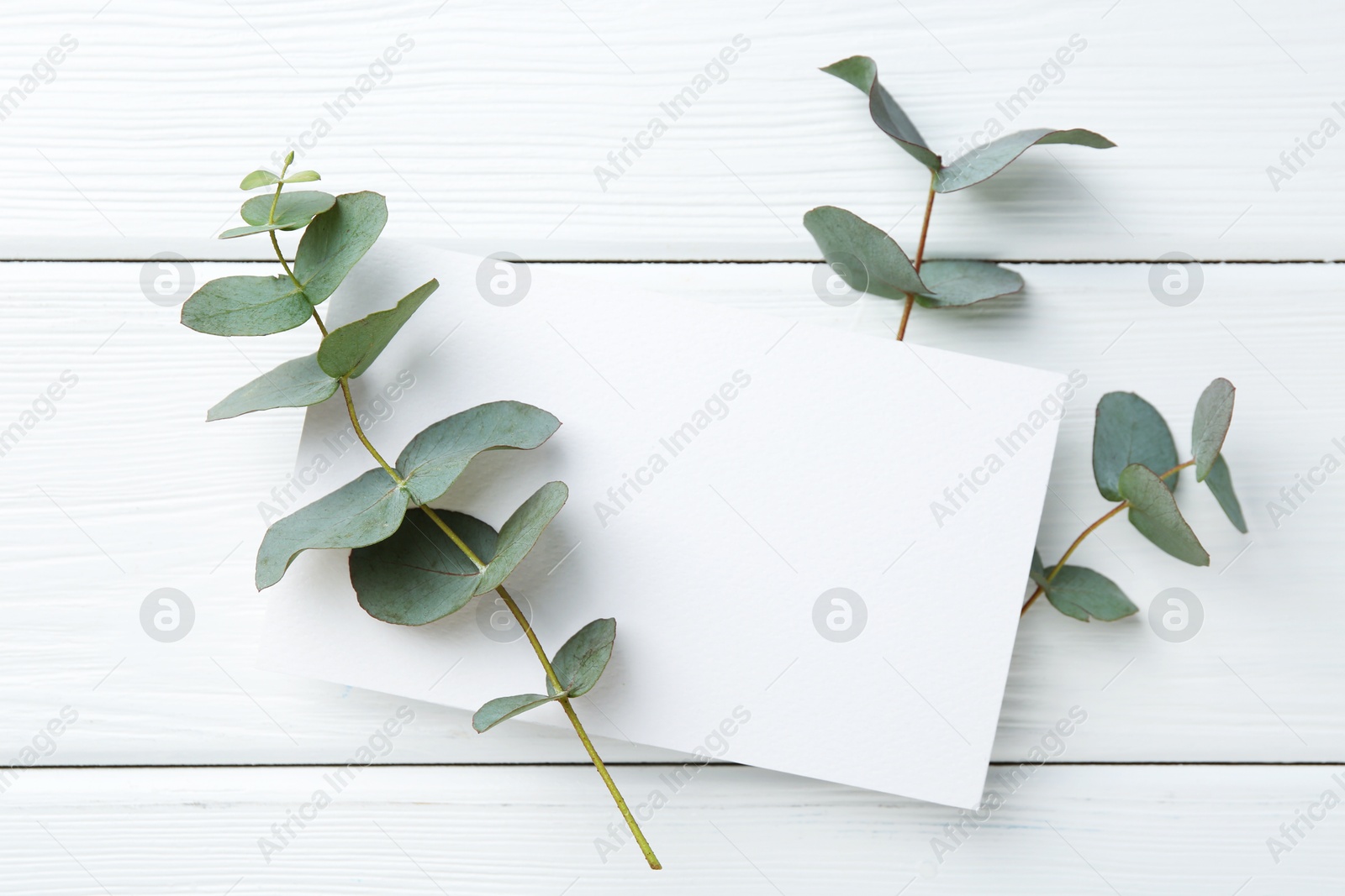 Blank card and eucalyptus branches on white wooden table, flat lay Photo of Blank card and eucalyptus branches on white wooden table, flat lay
