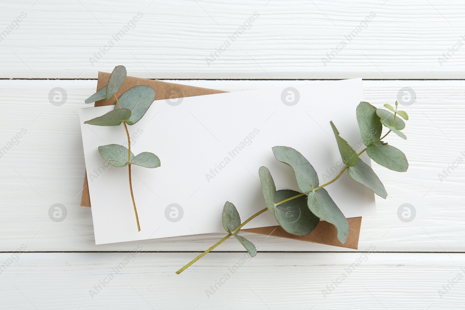 Blank card and eucalyptus branches on white wooden table, top view Photo of Blank card and eucalyptus branches on white wooden table, top view