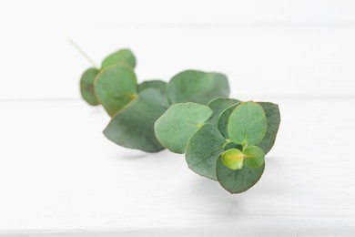 Photo of Eucalyptus branch on white wooden table, closeup
