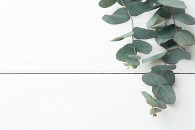 Photo of Eucalyptus branches on white wooden table, flat lay. Space for text