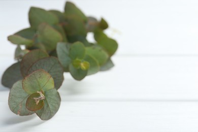 Photo of Eucalyptus branches on white wooden table, closeup. Space for text