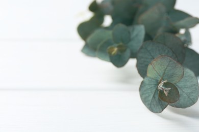Photo of Eucalyptus branches on white wooden table, closeup. Space for text