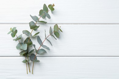 Photo of Eucalyptus branches on white wooden table, flat lay. Space for text