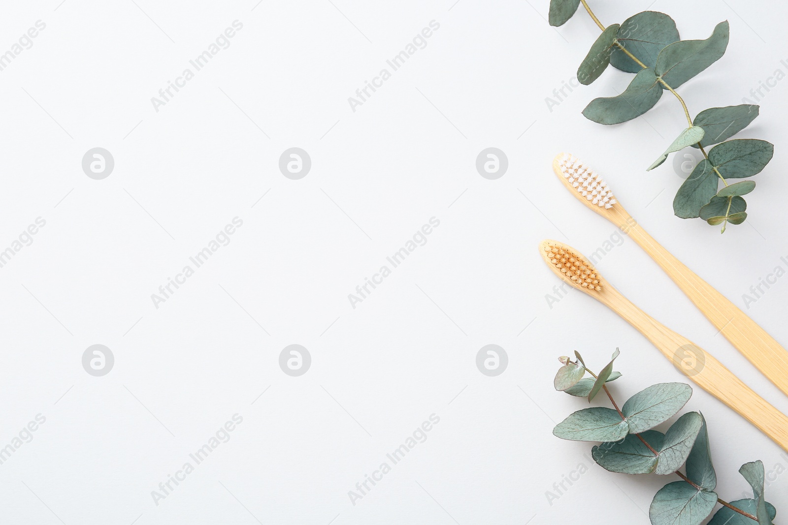 Bamboo toothbrushes and eucalyptus branches on white background, flat lay. Space for text Photo of Bamboo toothbrushes and eucalyptus branches on white background, flat lay. Space for text