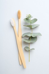 Photo of Bamboo toothbrushes and eucalyptus branch on white background, flat lay