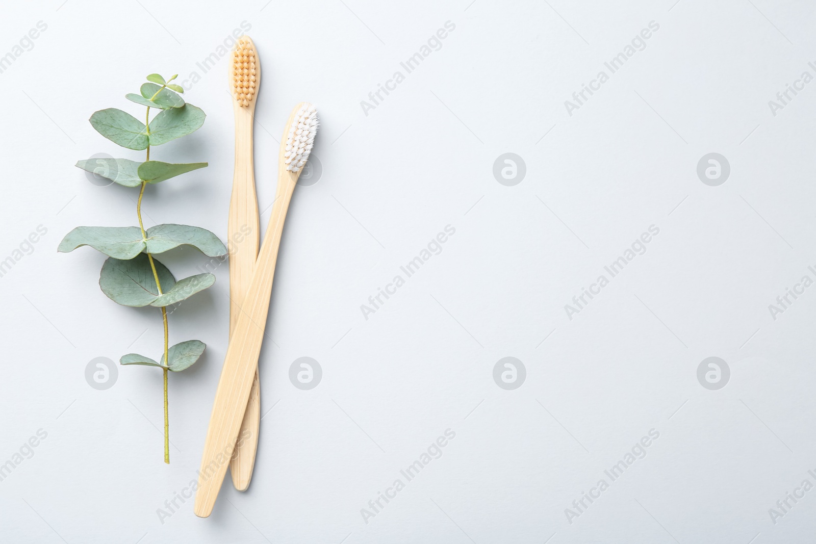 Bamboo toothbrushes and eucalyptus branch on white background, flat lay. Space for text Photo of Bamboo toothbrushes and eucalyptus branch on white background, flat lay. Space for text