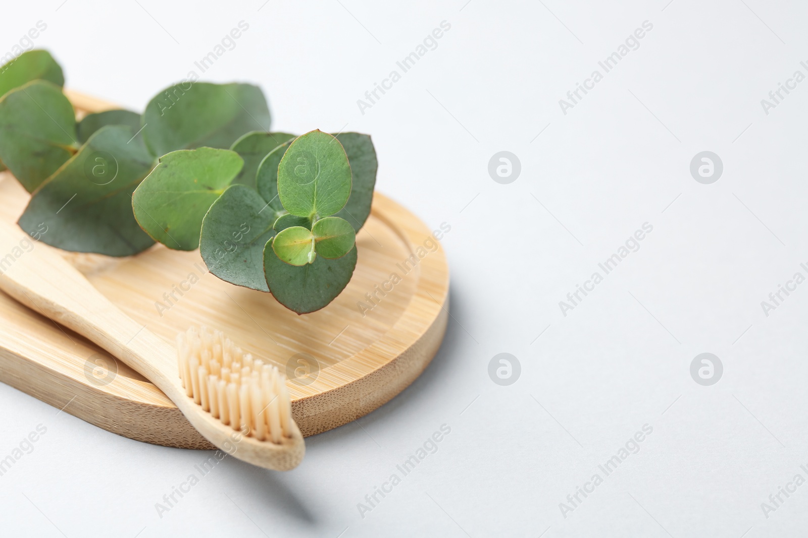Bamboo toothbrush and eucalyptus branch on white background, closeup. Space for text Photo of Bamboo toothbrush and eucalyptus branch on white background, closeup. Space for text