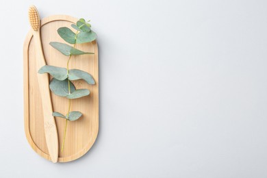 Photo of Bamboo toothbrush and eucalyptus branch on white background, top view. Space for text