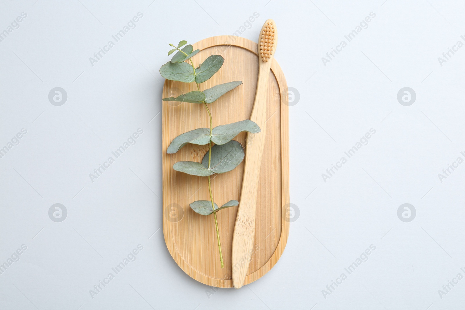 Bamboo toothbrush and eucalyptus branch on white background, top view Photo of Bamboo toothbrush and eucalyptus branch on white background, top view