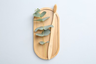 Photo of Bamboo toothbrush and eucalyptus branch on white background, top view