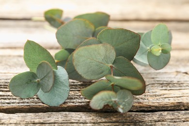 Photo of Beautiful eucalyptus branches on wooden table, closeup