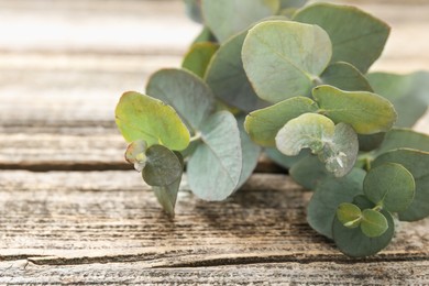 Photo of Beautiful eucalyptus branches on wooden table, closeup. Space for text