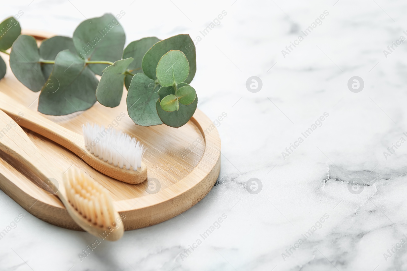 Bamboo toothbrushes and eucalyptus branch on white marble table, closeup. Space for text Photo of Bamboo toothbrushes and eucalyptus branch on white marble table, closeup. Space for text