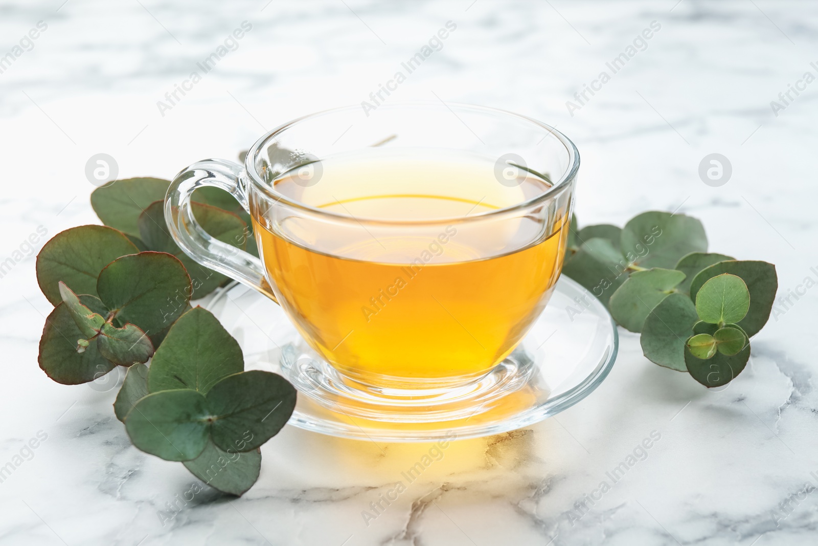 Aromatic tea in cup and eucalyptus branches on white marble table, closeup Photo of Aromatic tea in cup and eucalyptus branches on white marble table, closeup