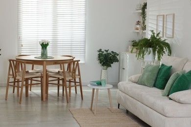 Photo of Comfortable sofa, table, chairs and green houseplants indoors. Interior design