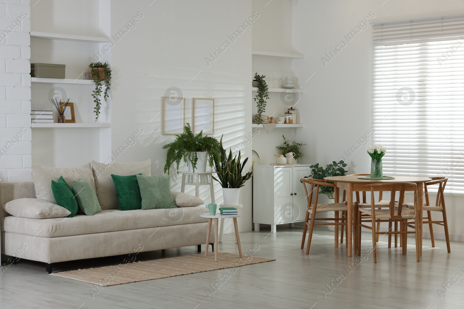 Comfortable sofa, table, chairs and green houseplants indoors. Interior design Photo of Comfortable sofa, table, chairs and green houseplants indoors. Interior design