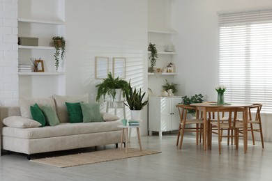 Photo of Comfortable sofa, table, chairs and green houseplants indoors. Interior design