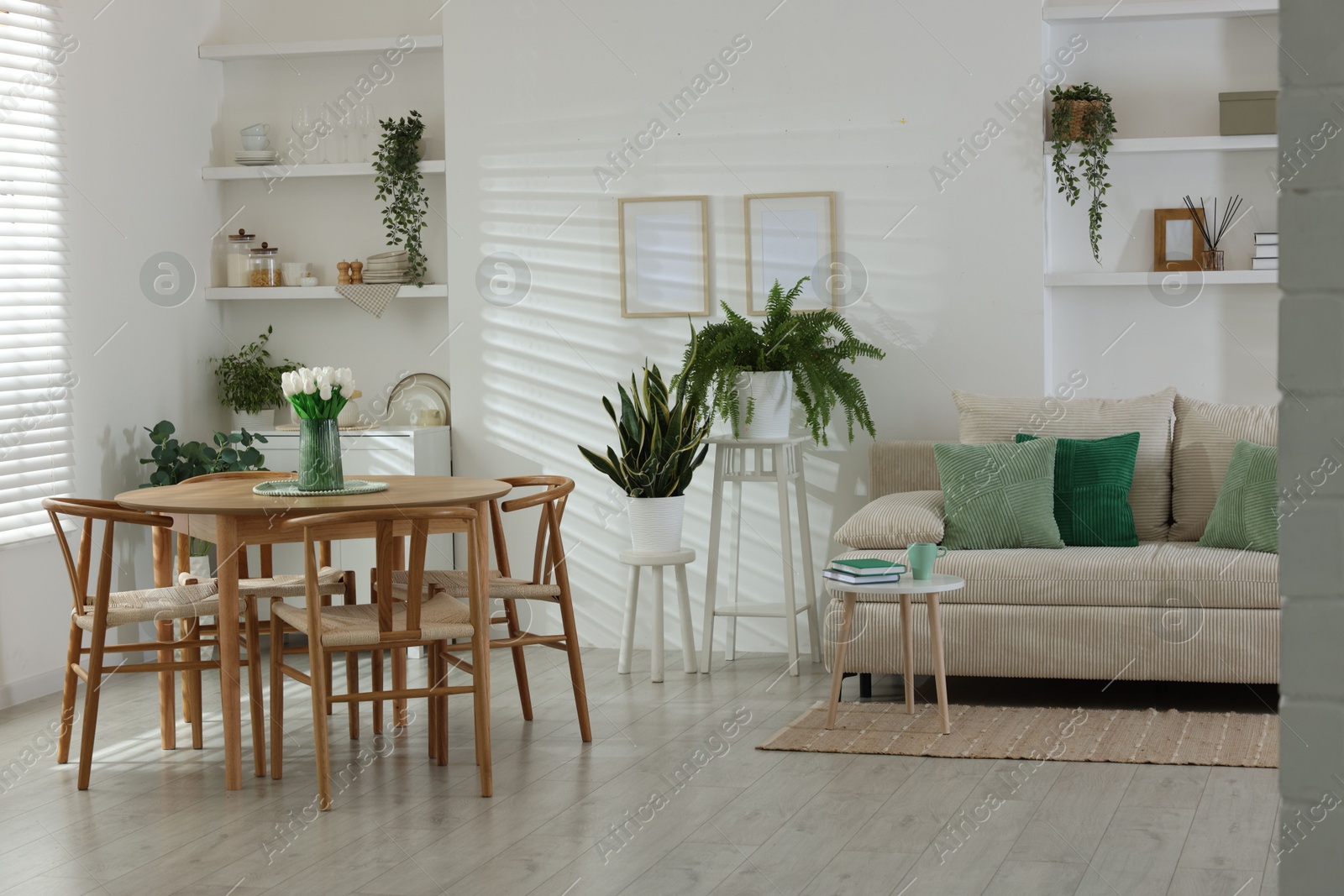 Comfortable sofa, table, chairs and green houseplants indoors. Interior design Photo of Comfortable sofa, table, chairs and green houseplants indoors. Interior design