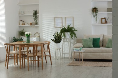 Photo of Comfortable sofa, table, chairs and green houseplants indoors. Interior design