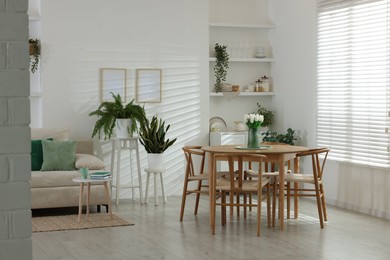 Photo of Comfortable sofa, table, chairs and green houseplants indoors. Interior design