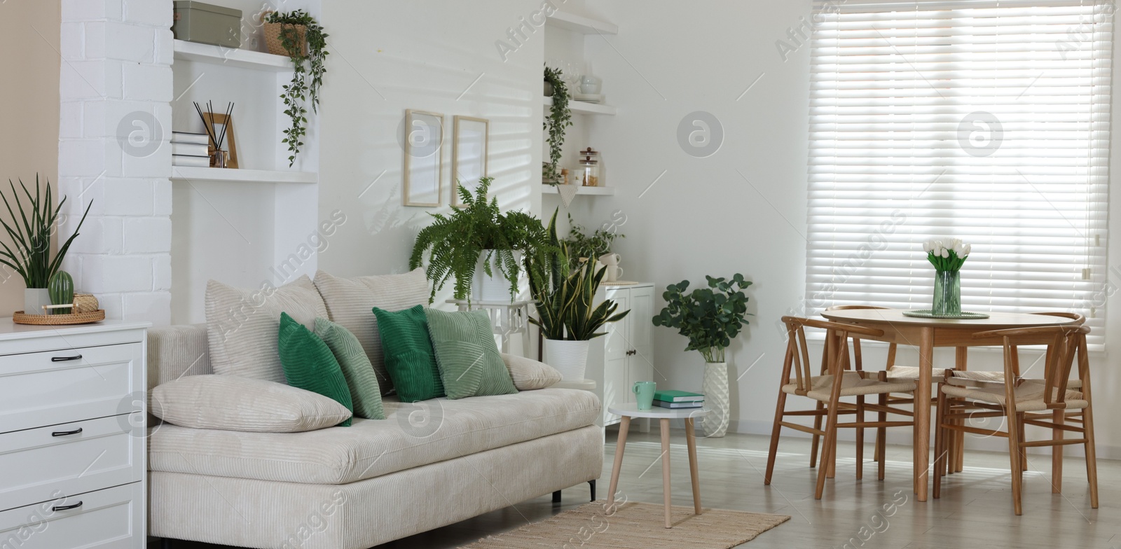 Comfortable sofa, table, chairs and green houseplants indoors. Interior design Photo of Comfortable sofa, table, chairs and green houseplants indoors. Interior design