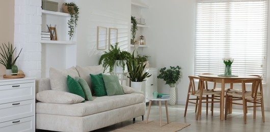 Photo of Comfortable sofa, table, chairs and green houseplants indoors. Interior design
