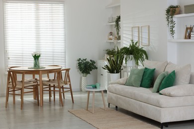 Photo of Comfortable sofa, table, chairs and green houseplants indoors. Interior design