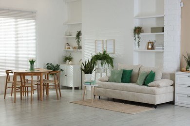 Photo of Comfortable sofa, table, chairs and green houseplants indoors. Interior design