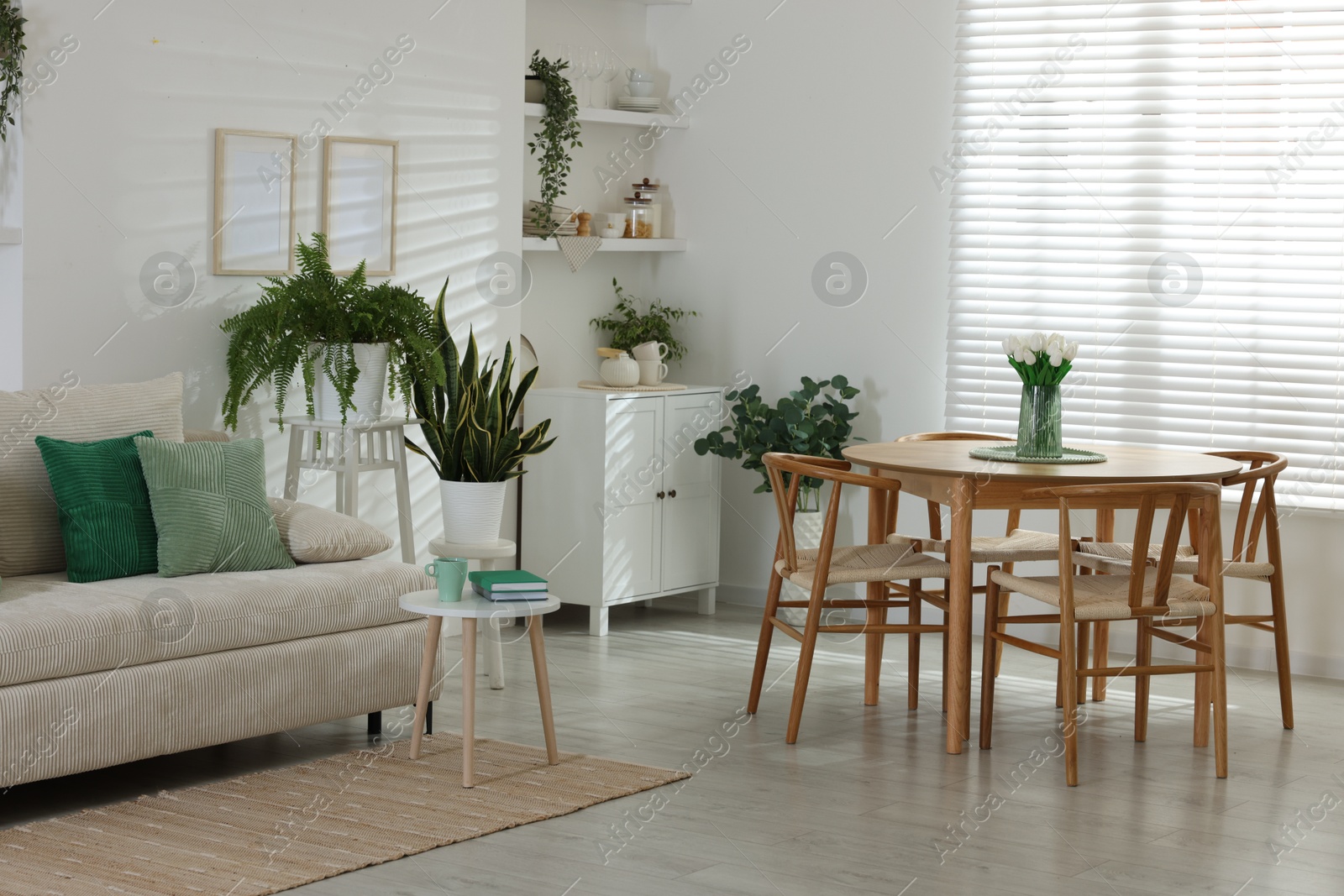 Comfortable sofa, table, chairs and green houseplants indoors. Interior design Photo of Comfortable sofa, table, chairs and green houseplants indoors. Interior design