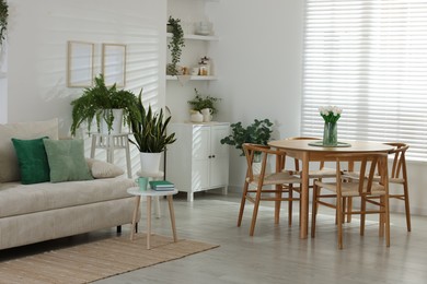 Photo of Comfortable sofa, table, chairs and green houseplants indoors. Interior design