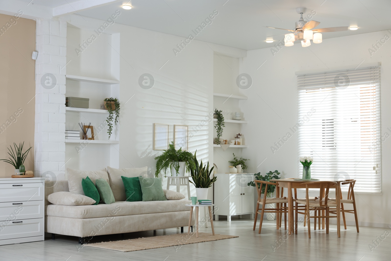 Comfortable sofa, table, chairs and green houseplants indoors. Interior design Photo of Comfortable sofa, table, chairs and green houseplants indoors. Interior design