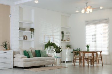 Photo of Comfortable sofa, table, chairs and green houseplants indoors. Interior design