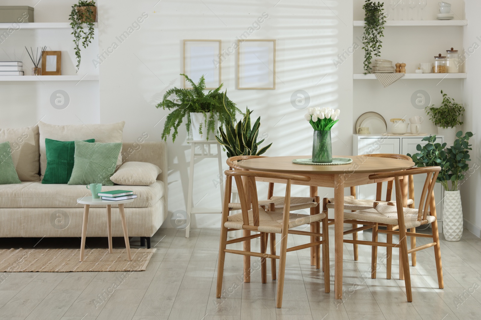 Comfortable sofa, table, chairs and green houseplants indoors. Interior design Photo of Comfortable sofa, table, chairs and green houseplants indoors. Interior design
