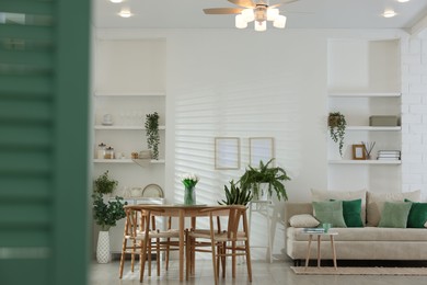 Photo of Comfortable sofa, table, chairs and green houseplants indoors. Interior design